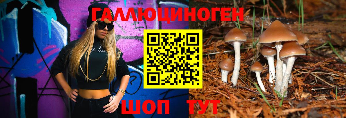 Псилоцибиновые грибы мицелий Гуково